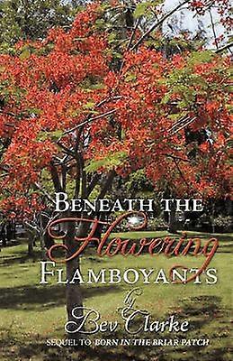 Beneath the Flowering Flamboyants