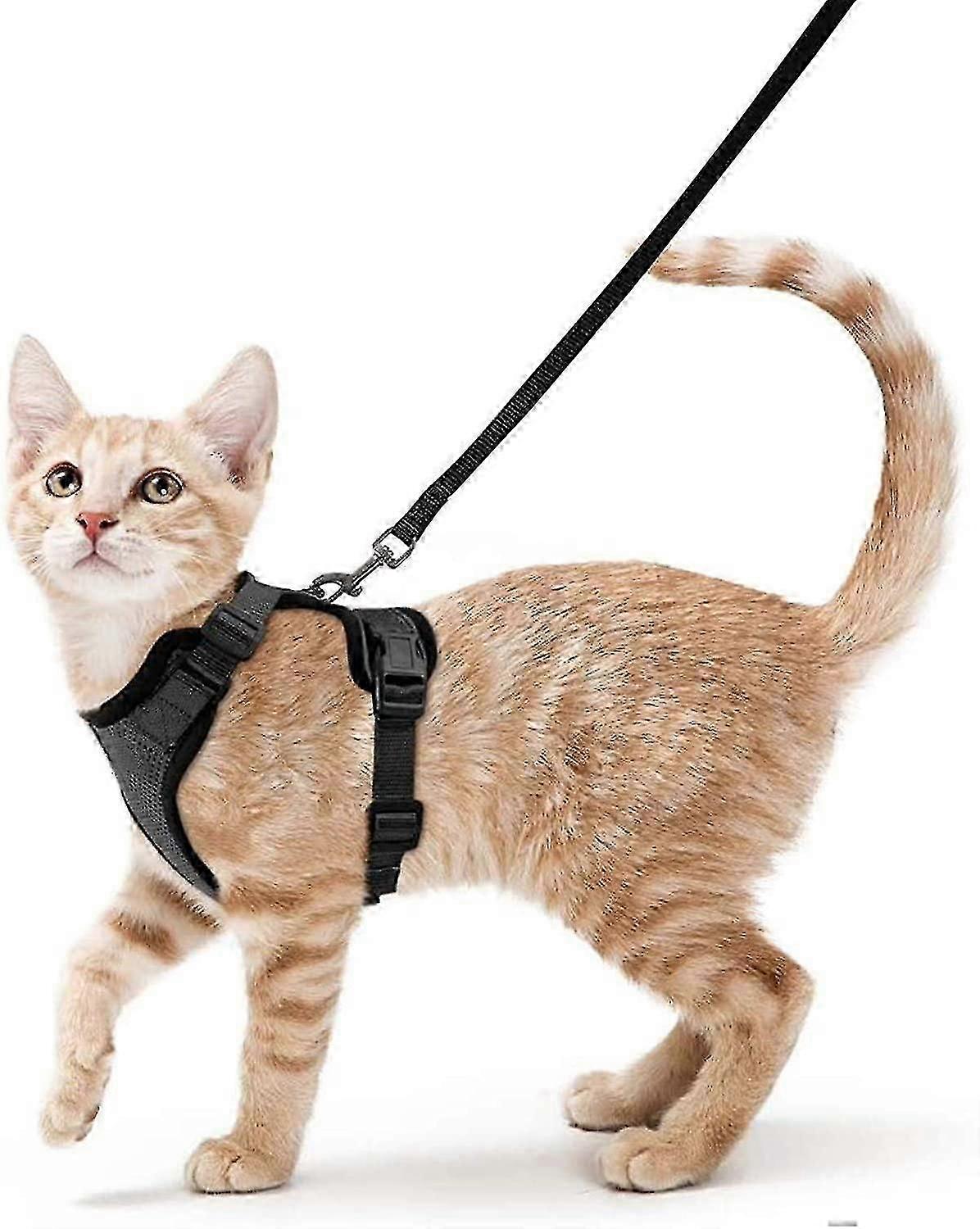 Cat Harness and Leash for Walking, Escape Proof Soft Adjustable Vest Harnesses for Cats, Easy Control Breathable Jacket, Black, S
