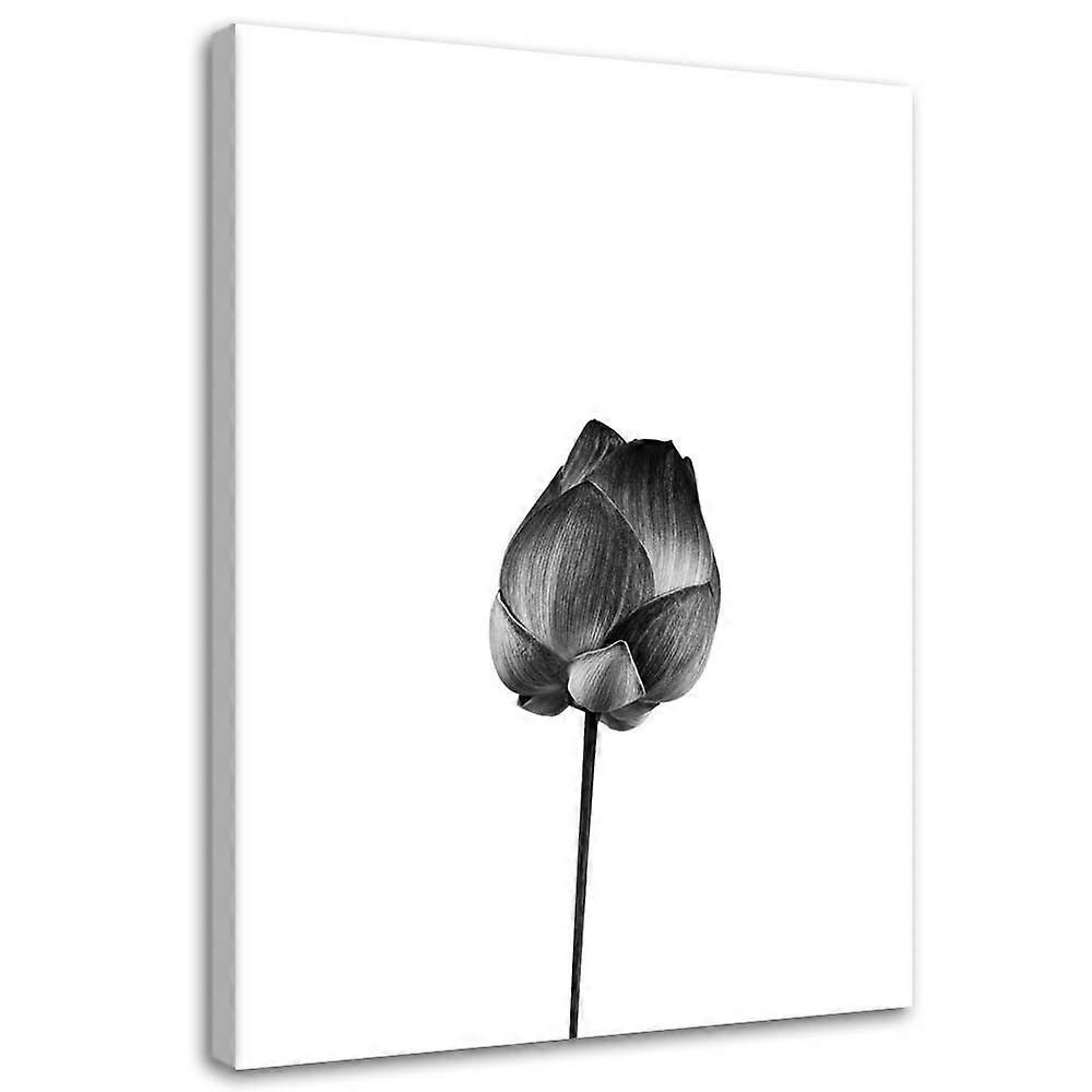 Lienzo, Flor con tallo - 40x60