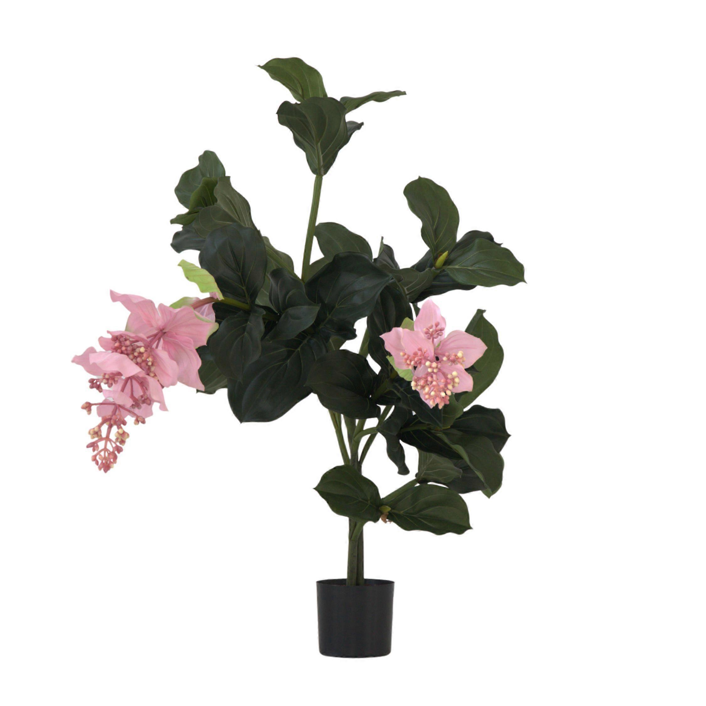 Artificial Medinilla Magnifica - Height 85cm