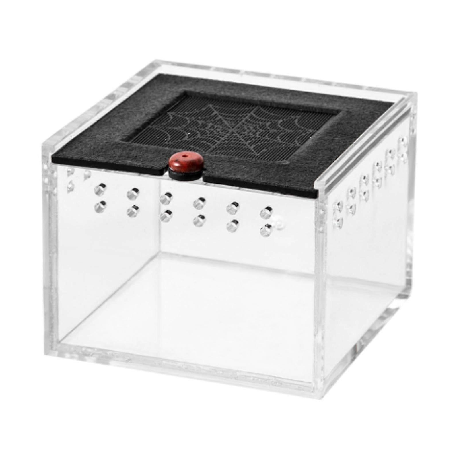 Reptile Feeding Box Transparent Pet Habitat with Ventilation for Snakes Lizards Small Animals Silkworms Clear