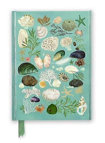 Katherine Quinn Beachcombing Foiled Journal Notebook  blank book Book