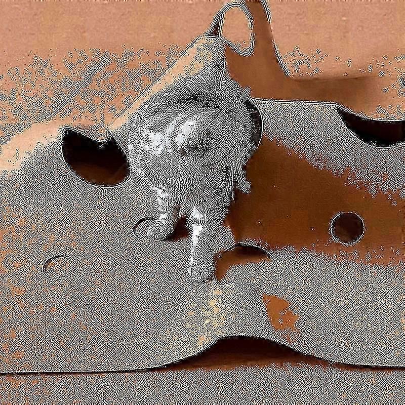 Interactive Cat Play Ripple Rug with Tunnel, Activity Mat for Scratching and Fun Training Games