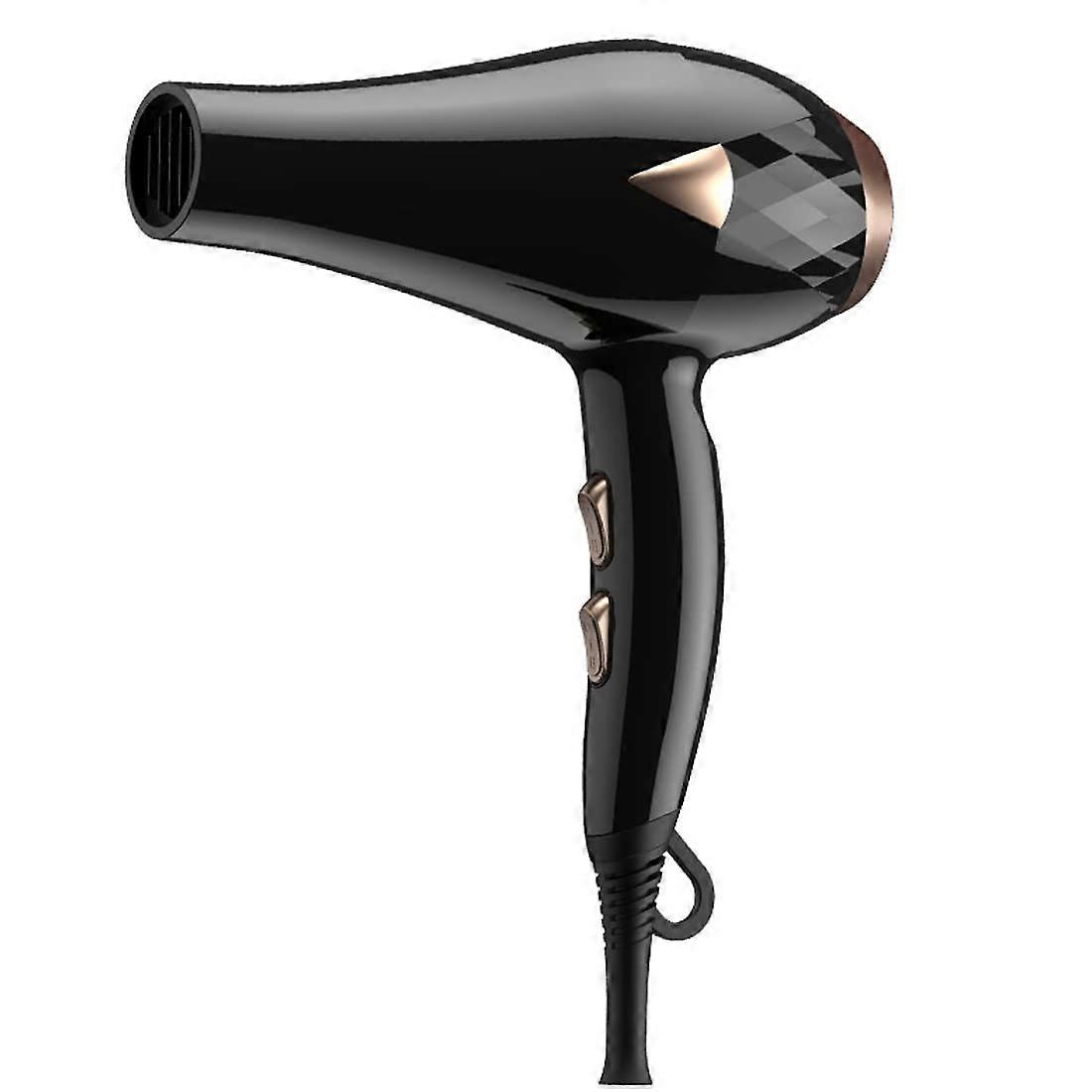 Professional Ionic Hair Dryer with Fast Drying, Foldable Handle, Low Noise, Travel Friendly Black
