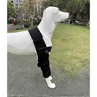 Dog Front Leg Knee Brace for Surgical Recovery Injury Joint Support Wrap