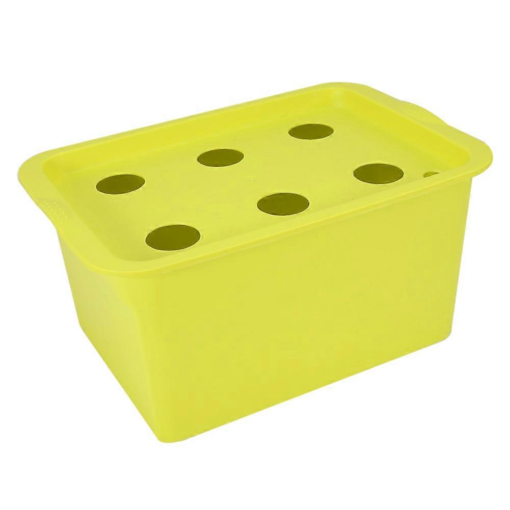 6-Hole Hydroponic Seedling Box Green Static Hydroponics System Durable Lightweight Small Size Easy to Use Ideal for Indoor Plant Cultivatio