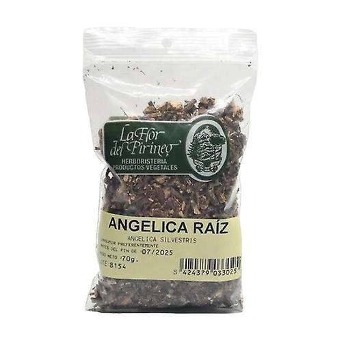 angelica root 70 g