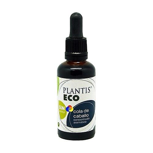 Horsetail Extract Eco Extract Alcohol Free 50 ml
