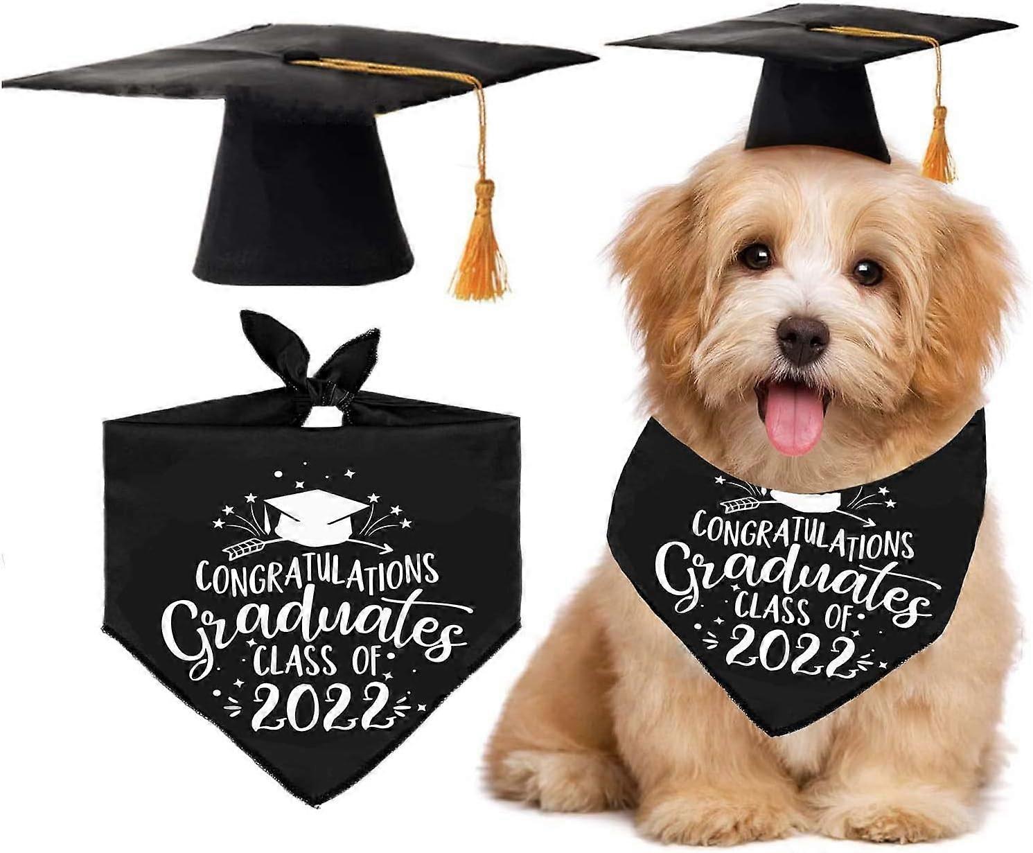 Dog Graduation Hat