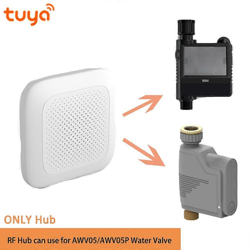 Water Valve Smart Wifi Watering Timer App Remote Control Valve Adjustable Flow Home Garder Irrigator System Support Alexa