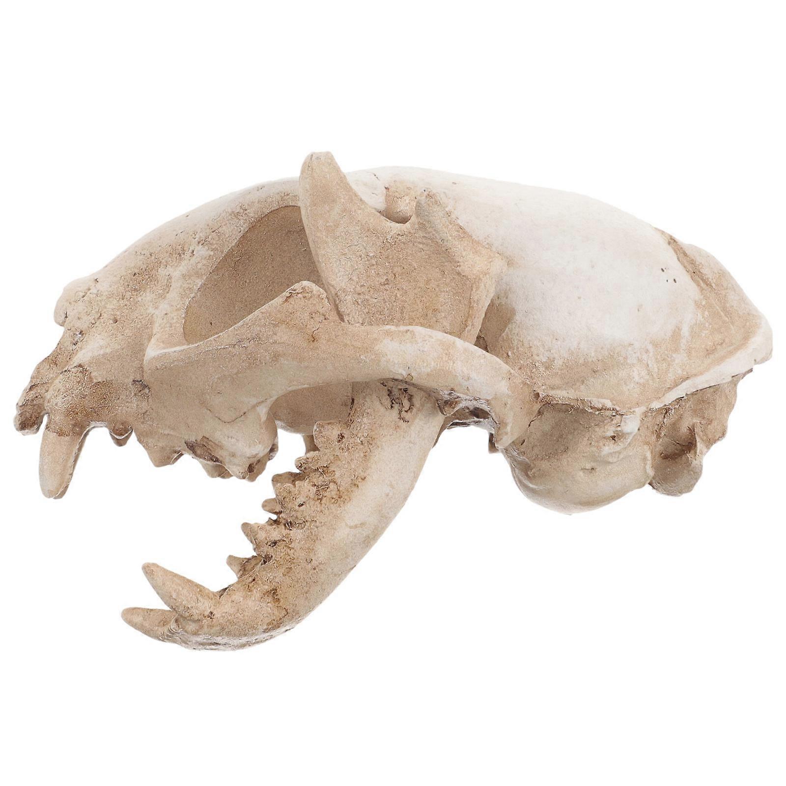 Cat Skull Statue, Versatile Decor for Fish Tank and Living Space