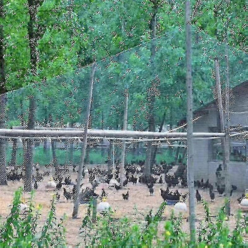 Durable anti-bird netting for gardens - keeps out deer and chickens