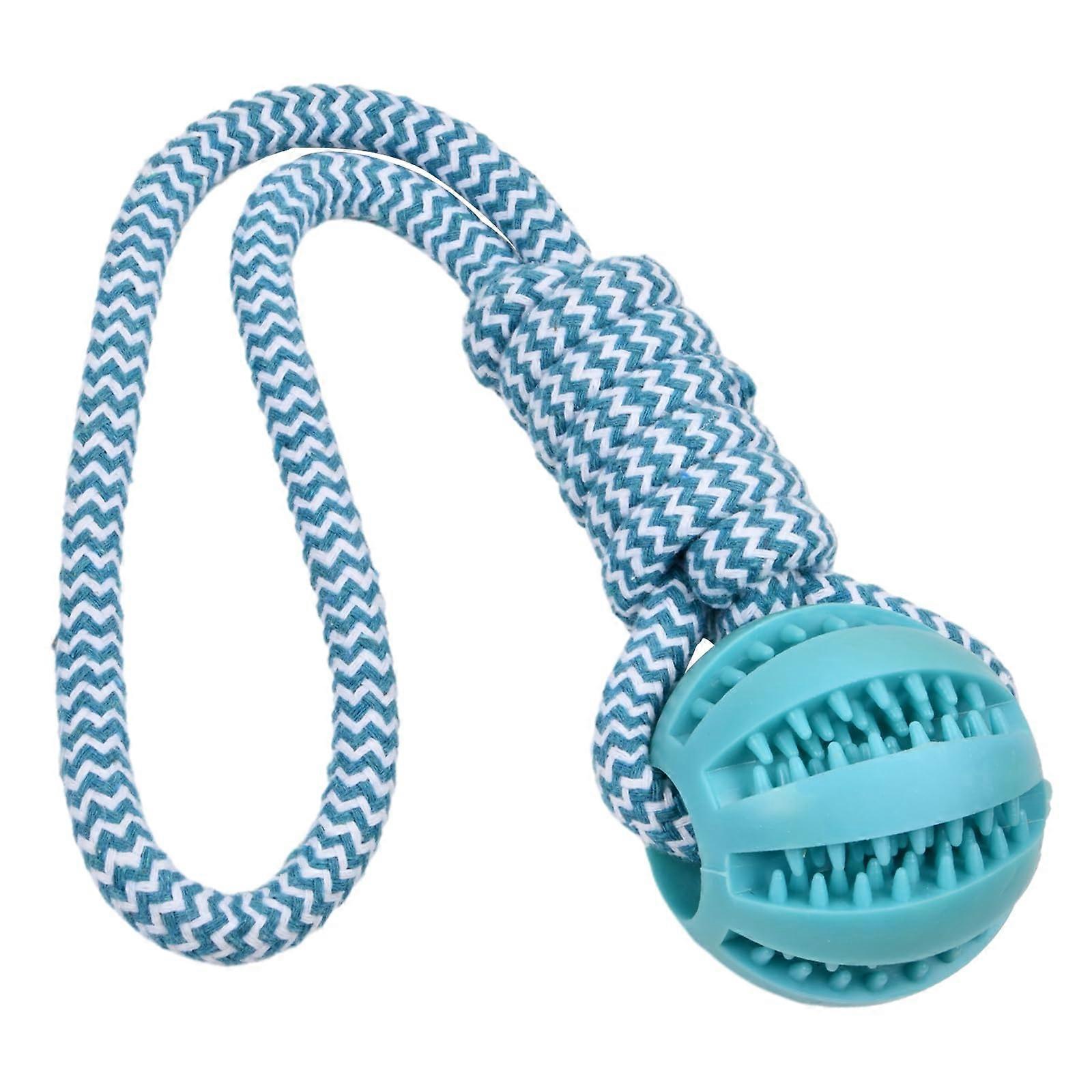 Ball on Rope Indestructible Dog Toy for Throwing and Chewing 6 cm