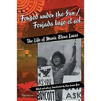 Smidd under solen / Forjada Bajo el Sol: Livet til Maria Elena Lucas (Kvinner og kultur)