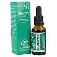 Holopai 16 (Obesity Ground) 31 ml