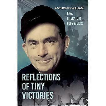 Reflections of tiny victories