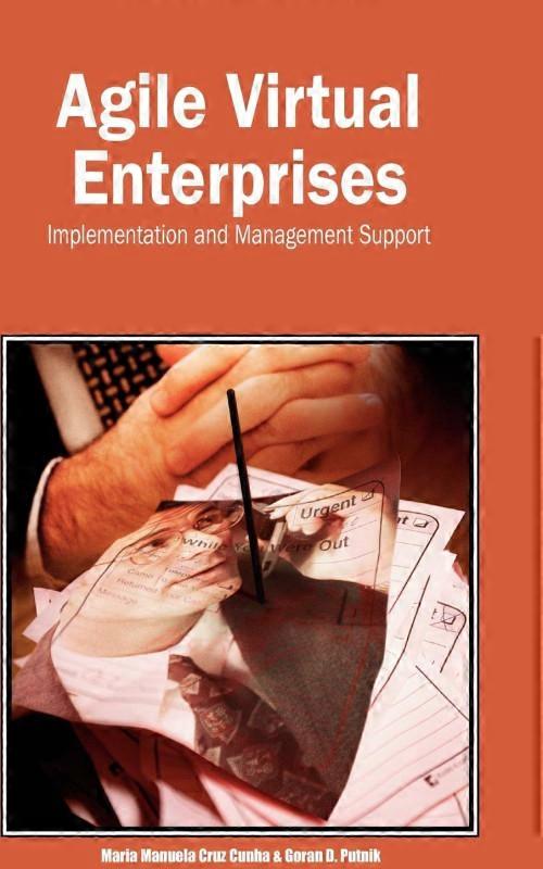 Agile Virtual Enterprises Implementation And Management Support
