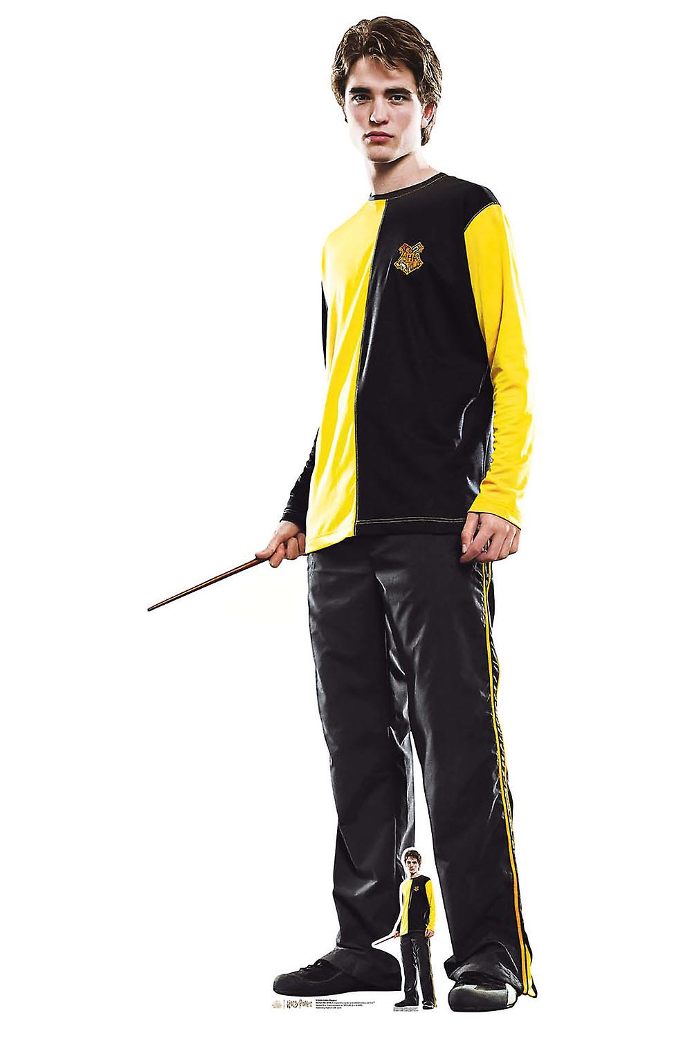 Cedric Diggory Official Harry Potter Lifesize Cardboard Cutout / Standee