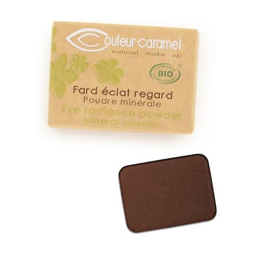 Eye shadow refill n ° 169 Earth 1,3 g of powder