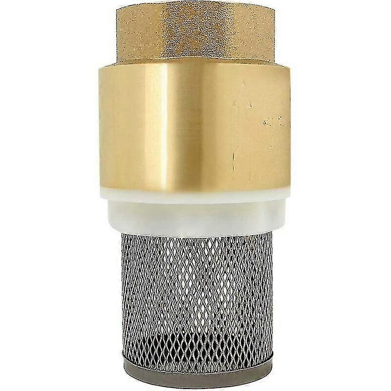 Check Valve Strainer - 1/2 Inch