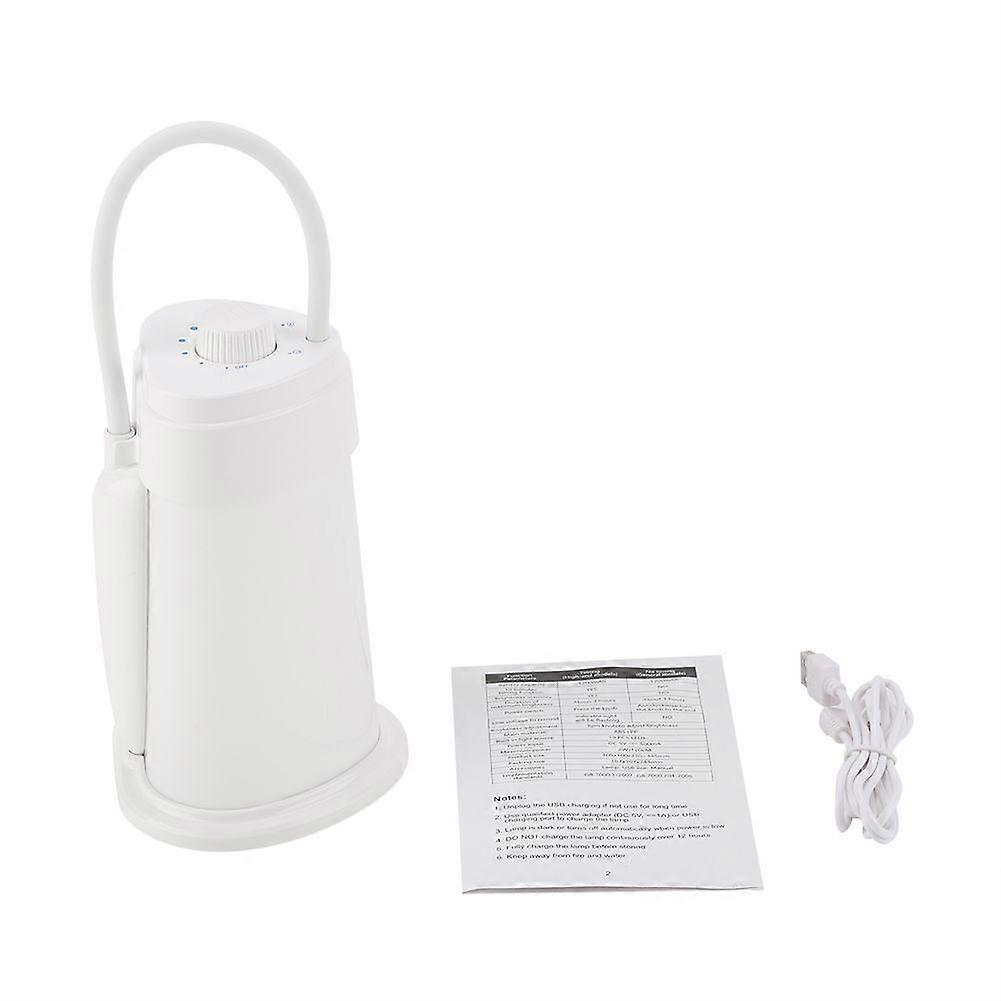 Kids Reading Light Study Desk LED Lamp for Students USB Charging Portable (Timing Lamp)