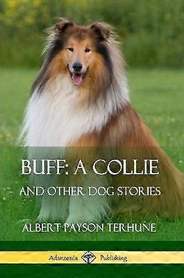 Buff; A Collie