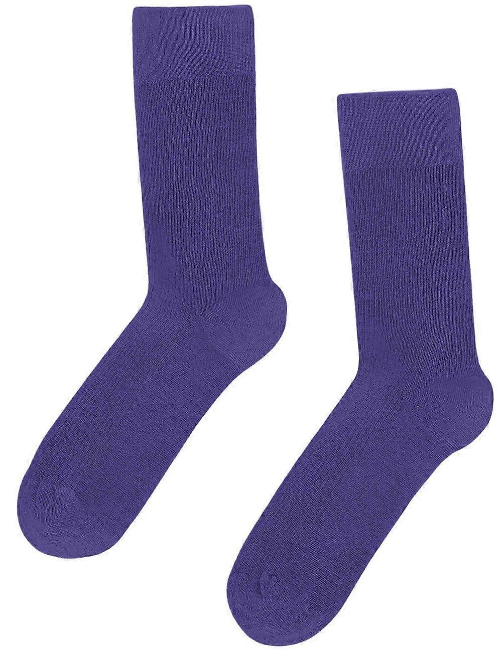 Men's Colorful Standard Classic Organic Socks - Ultraviolet