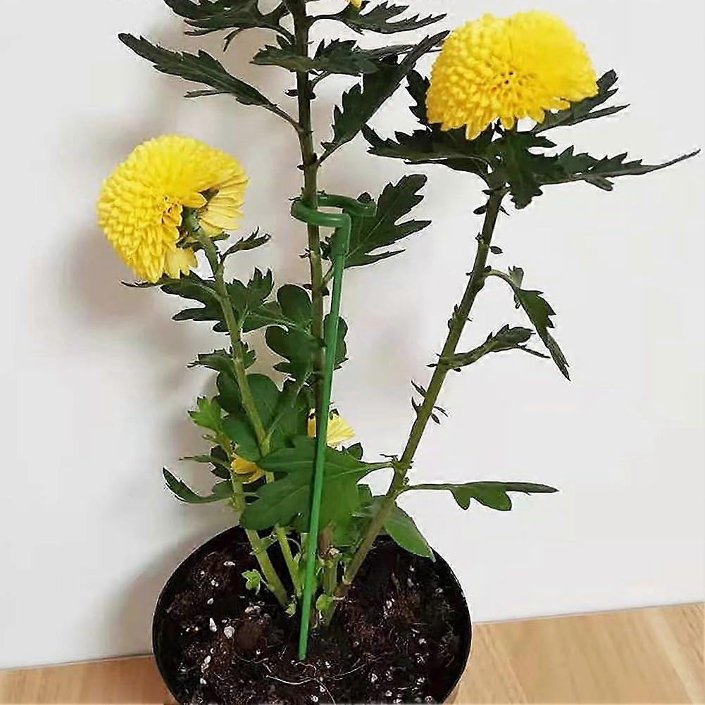 Reliable plant support for peonies, sunflowers, and more, reusable and does not bend (17 cm / 6.69 in).