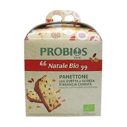 Panettone ancient tradition 500 g
