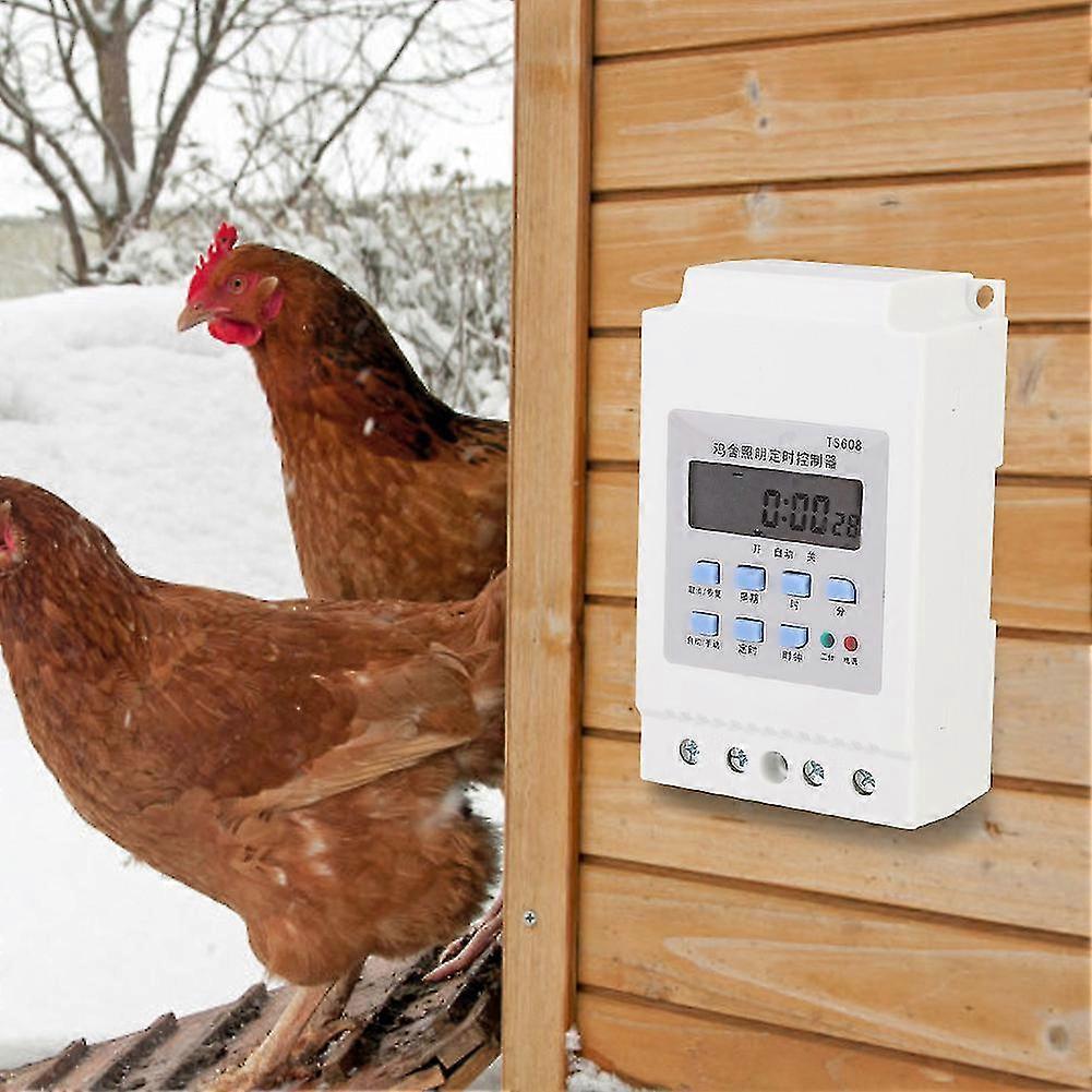 220V 50Hz Home Pheasantry Lighting Timing Controller Lamp Timer Controller for Lighting Equipment