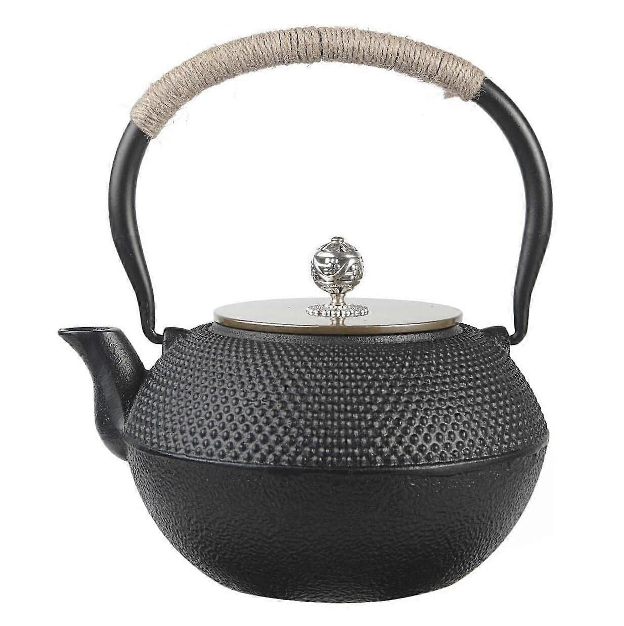 Cast Iron Teapot 1.2L with Infuser Japanese Style Large Capacity Kettle for Stove and Home