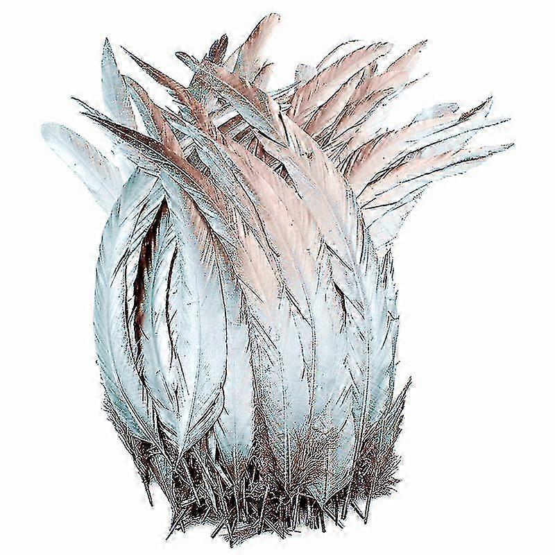 10-12 tum 100st / parti Färgade tuppfjädrar DIY Hantverk Karneval Tupp Svansfjäder Hattar Kostymdekoration