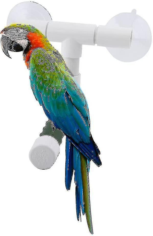 الطيور الببغاء جثم قابلة للطي كأس شفط نافذة دش حمام الجدار باو طحن الوقوف للعبة الببغاء حمام جثمة للعبة