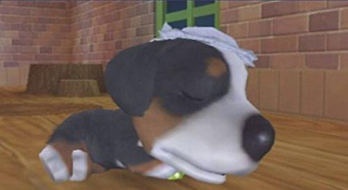 The Dog island (PS2) - PAL - New & Sealed