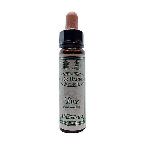 n ° 24 Pine 10 ml
