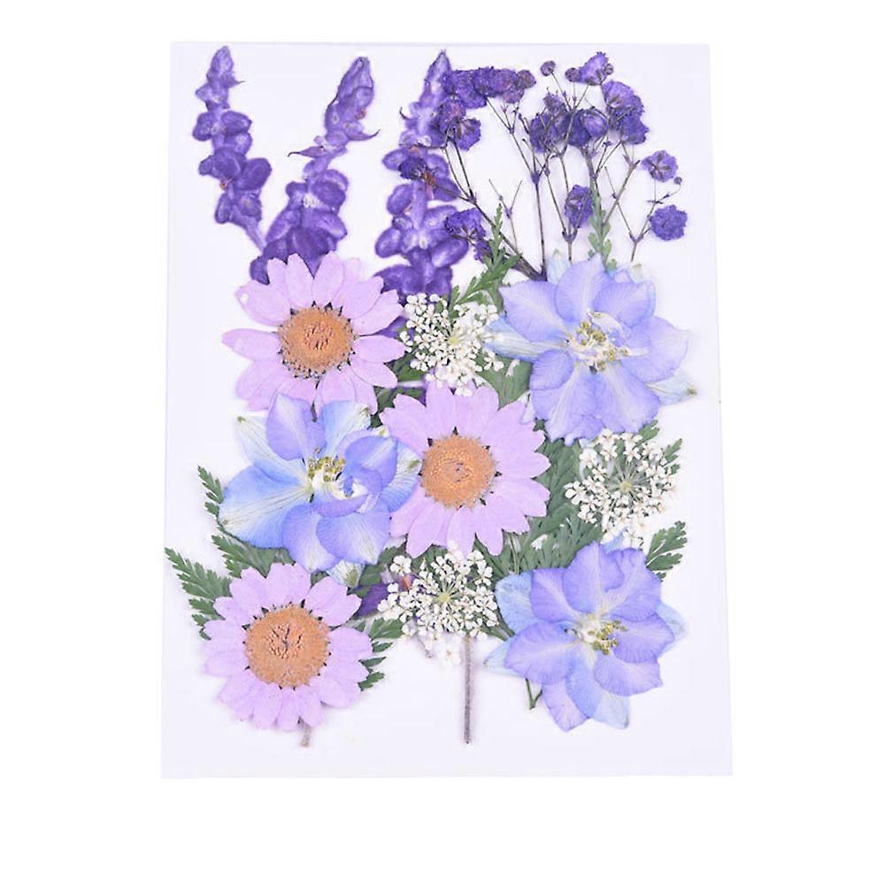 Pressed Flowers Small Dried Flowers Scrapbooking Dry DIY Bookmark Flower Decoration