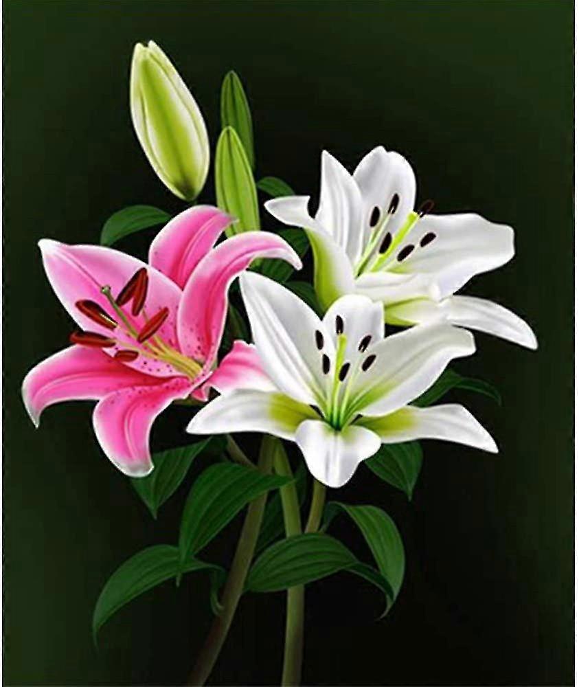(lilies) Diy 5d Diamond Painting,diy Diamond Painting By Numbers Diamond Embroidery Kit