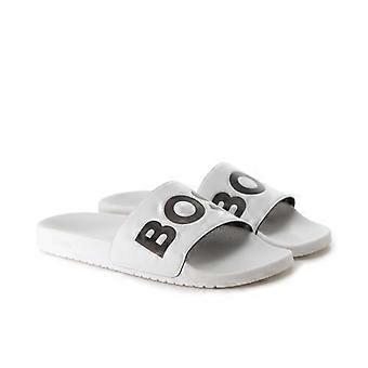 BOSS Aryeh Slides