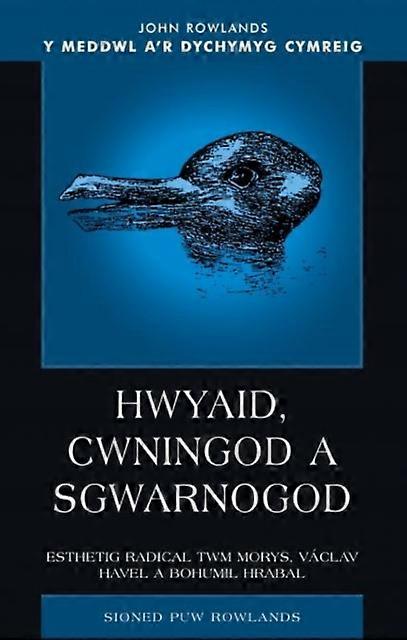 Hwyaid Cwningod A Sgwarnogod by Sioned Puw Rowlands Paperback