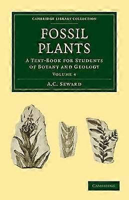 Fossil Plants