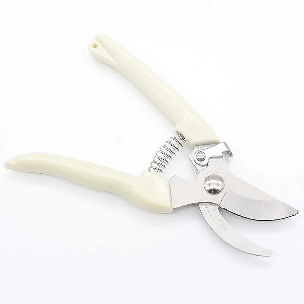 Professional Pruning Shears Set with Sharp Stainless Steel Blades and Ergonomic Garden Scissors