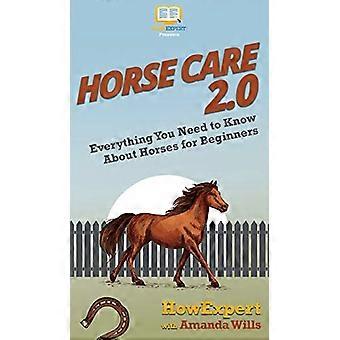 Horse Care 2.0: tutto ciò che devi sapere sui cavalli per principianti