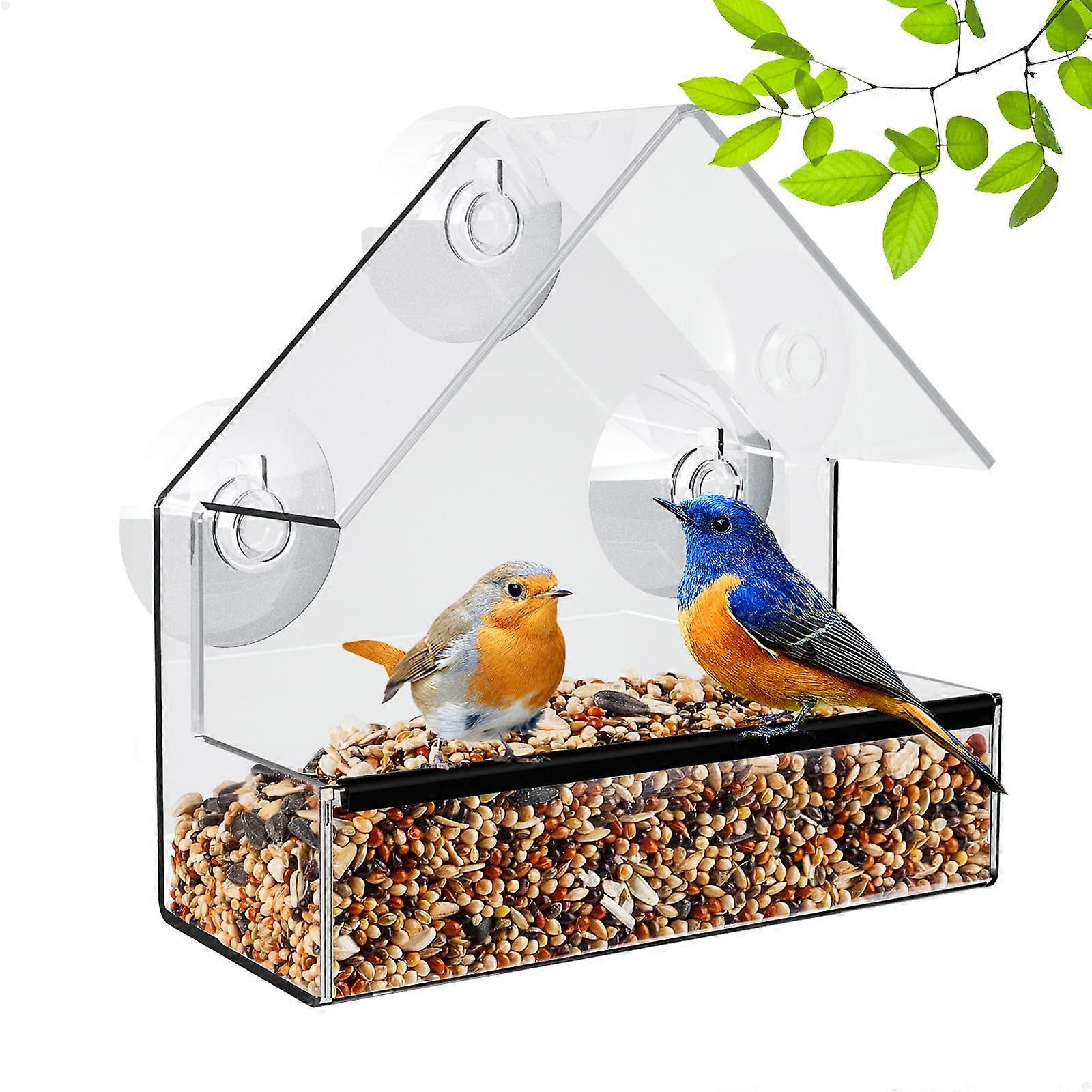 Small Clear Window Bird Feeder with Strong Suction Cups for CloseUp Wild Bird Viewing
