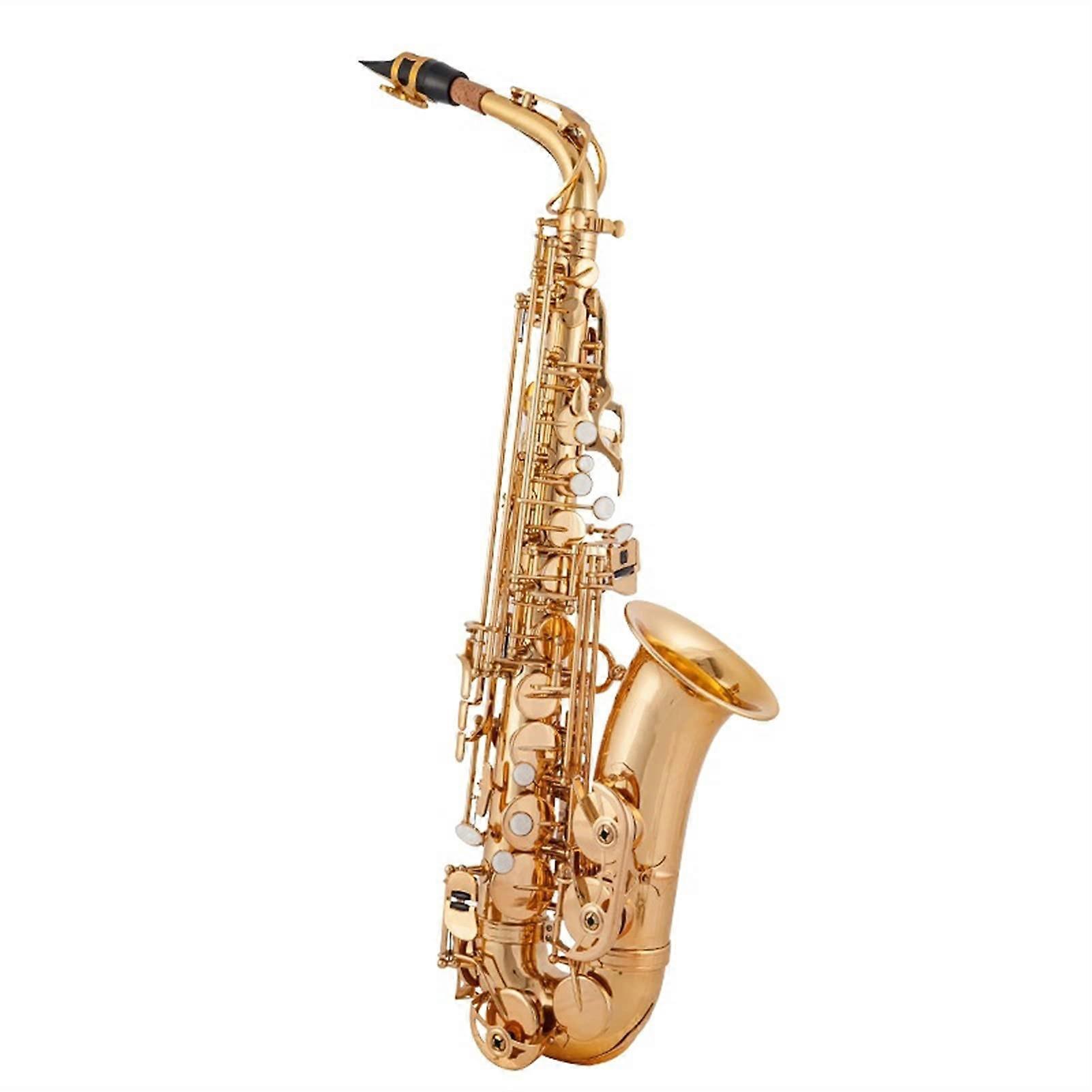 Alto Saxophone Set E Flat for Students Beginner Kit with Comfortable Ergonomic Keywork