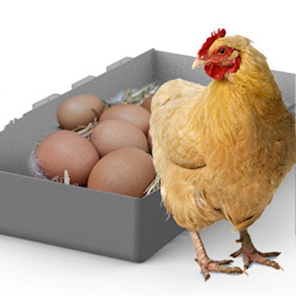 Nesting Boxes for Chickens, Egg-Laying Boxes,for Hens, Ducks, and Poultry Comfortable, Spacious Boxes