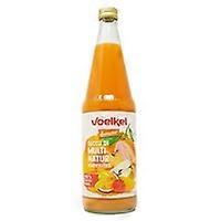 demeter multifruit juice 700 ml