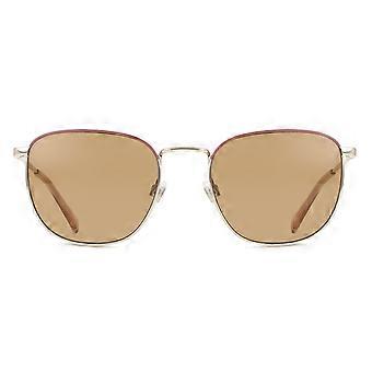 Levi's LV 1029/S 6K3/70 Full Rim  Unisex Square Sunglasses UV2 Original