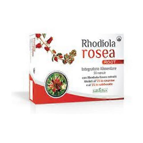 Rhodiola rosea root 30 capsules