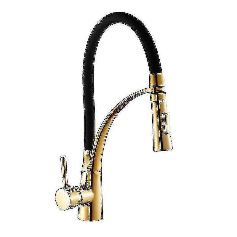 Dual Sprayer Pull Out Nozzle Kitchen Faucet In Gold Brass