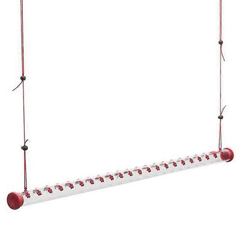 Red berries hummingbird feeder